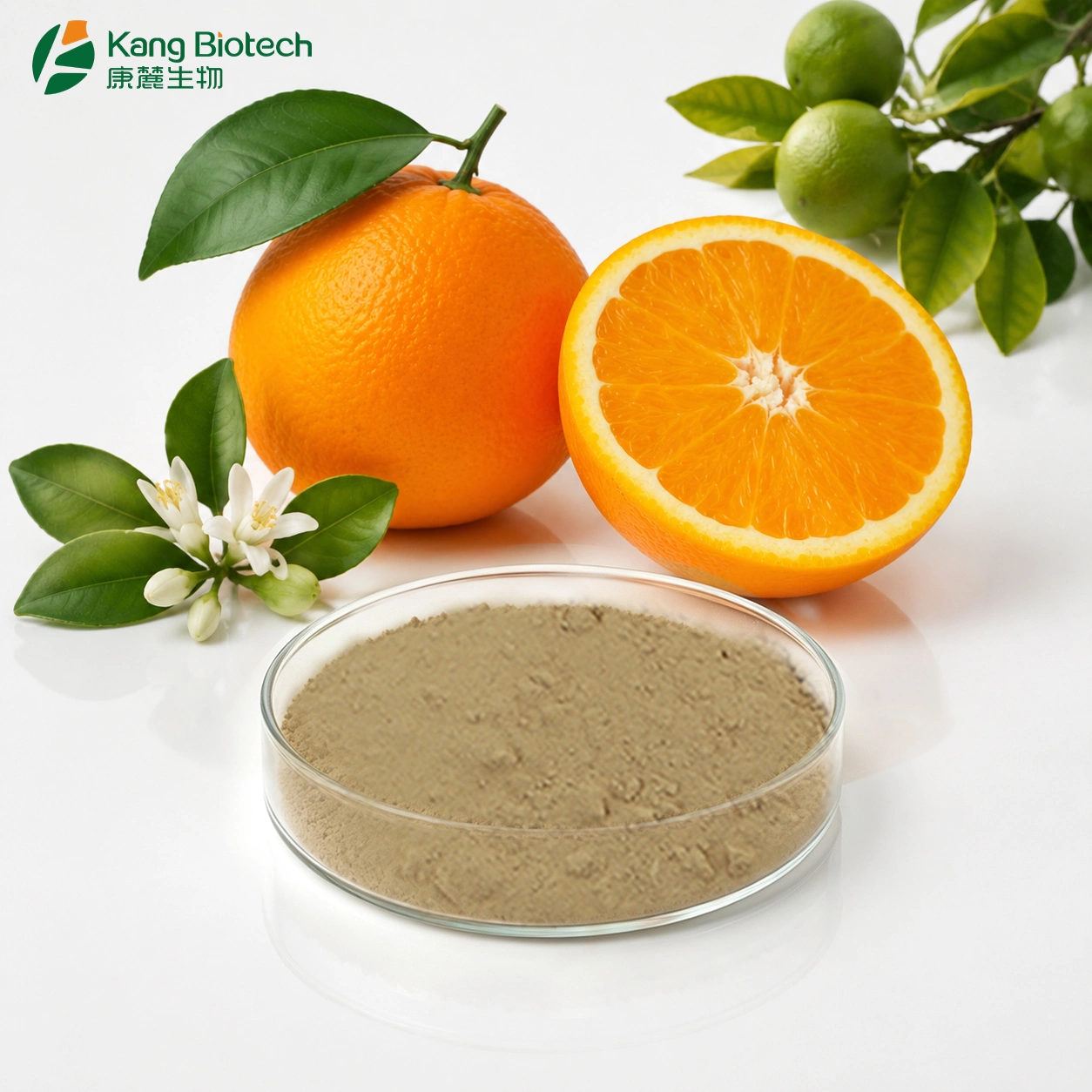 Polymethoxylated Flavones (PMFs) powder